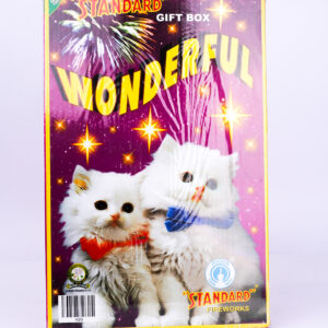 Standard GIFT BOX - Wonderful 31 Items